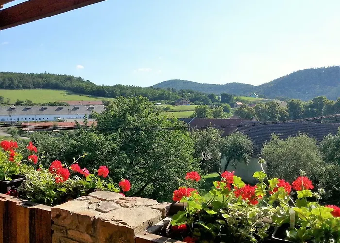 Steak-hredle * Hredle